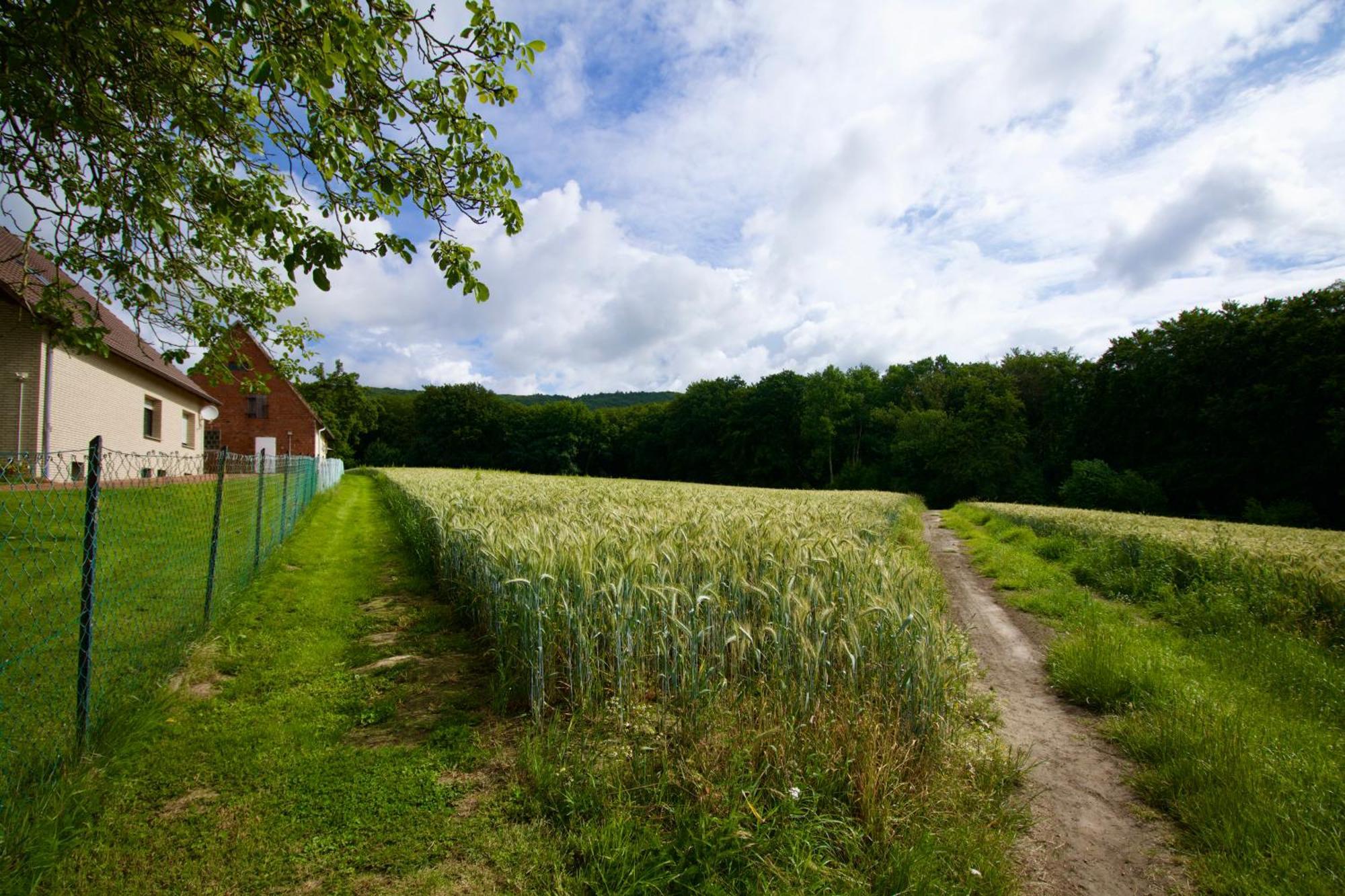 Ferienhaus Plattenberg Bad Oeynhausen Ngoại thất bức ảnh
