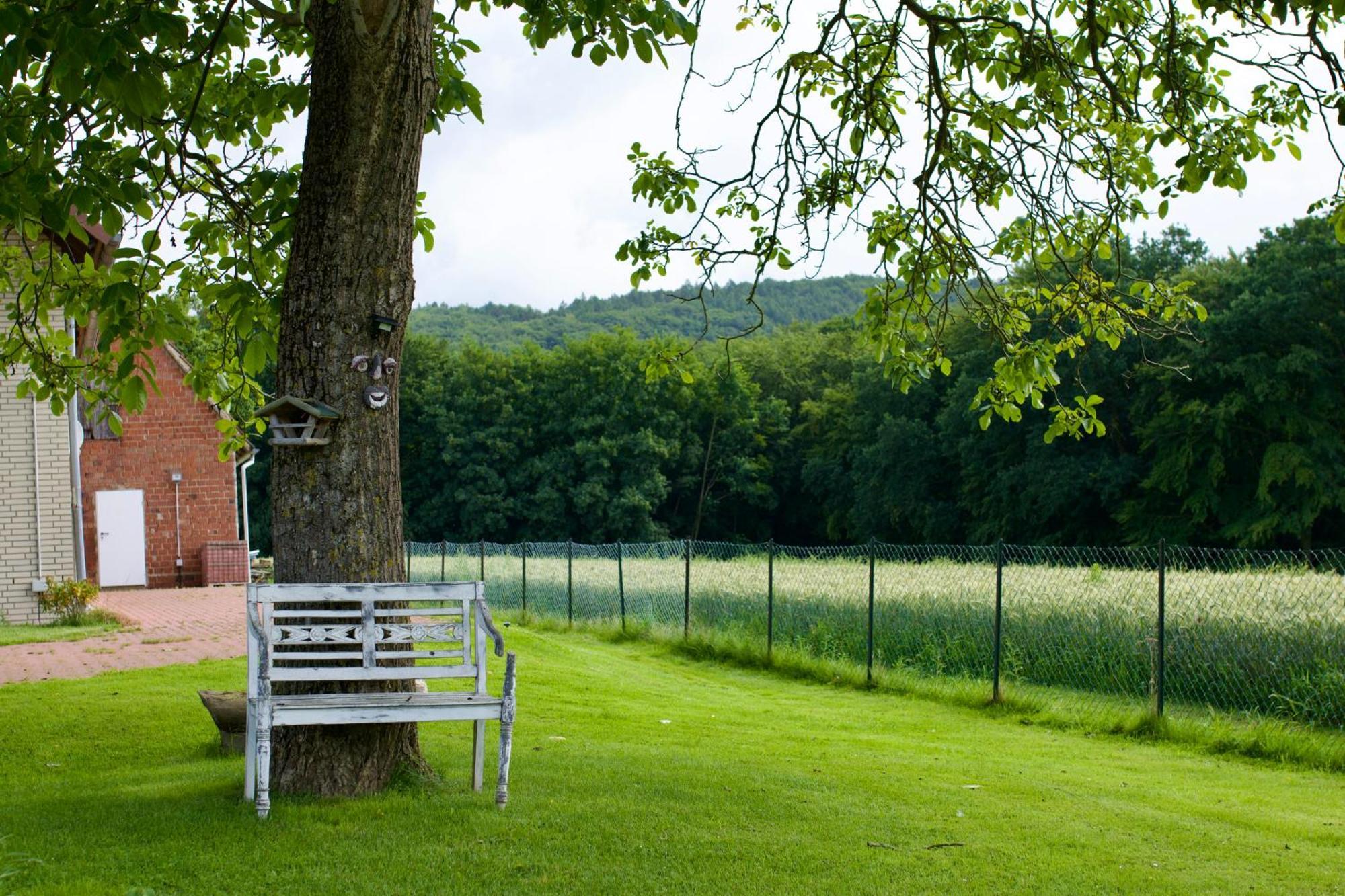 Ferienhaus Plattenberg Bad Oeynhausen Ngoại thất bức ảnh