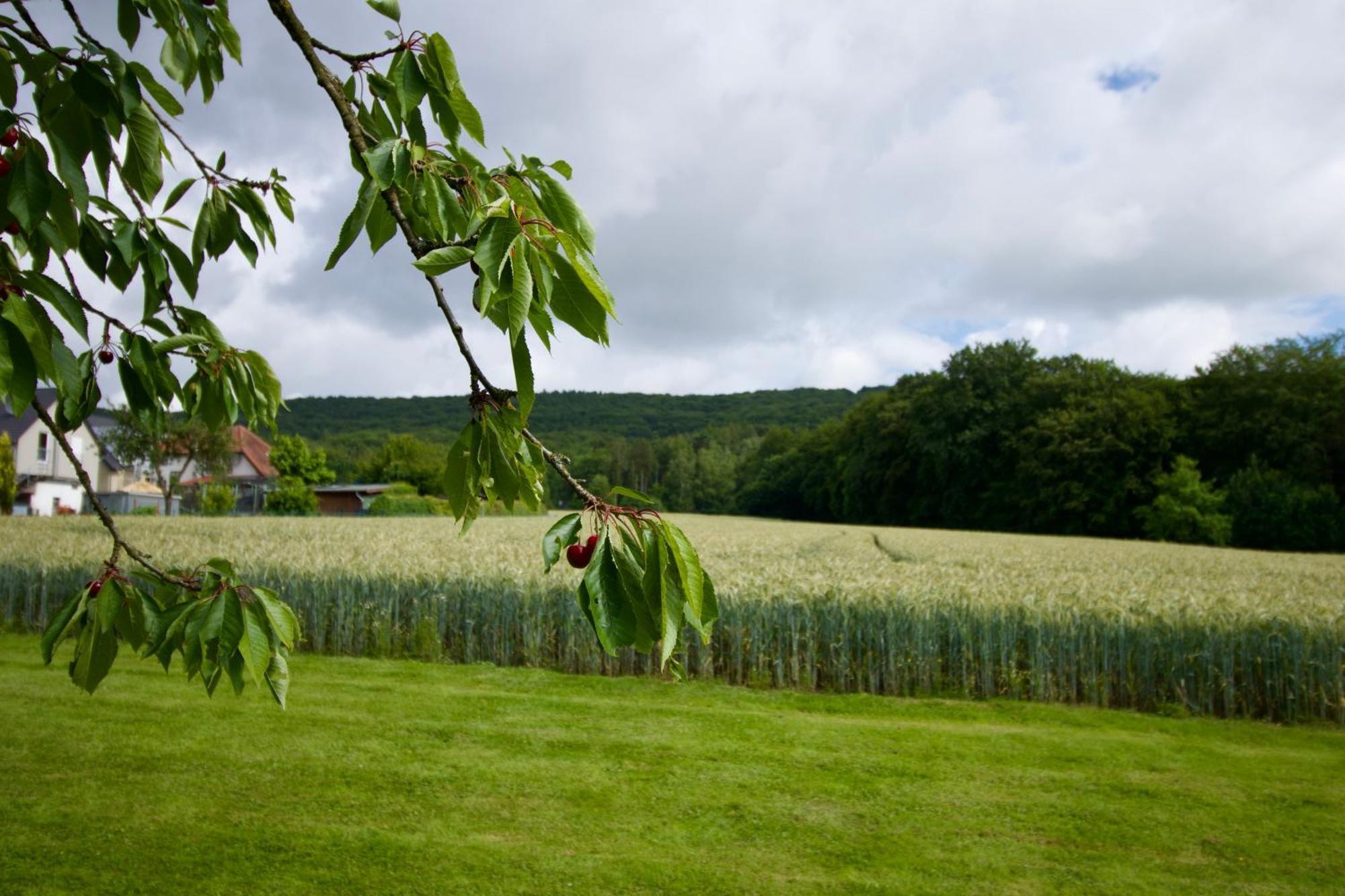 Ferienhaus Plattenberg Bad Oeynhausen Ngoại thất bức ảnh